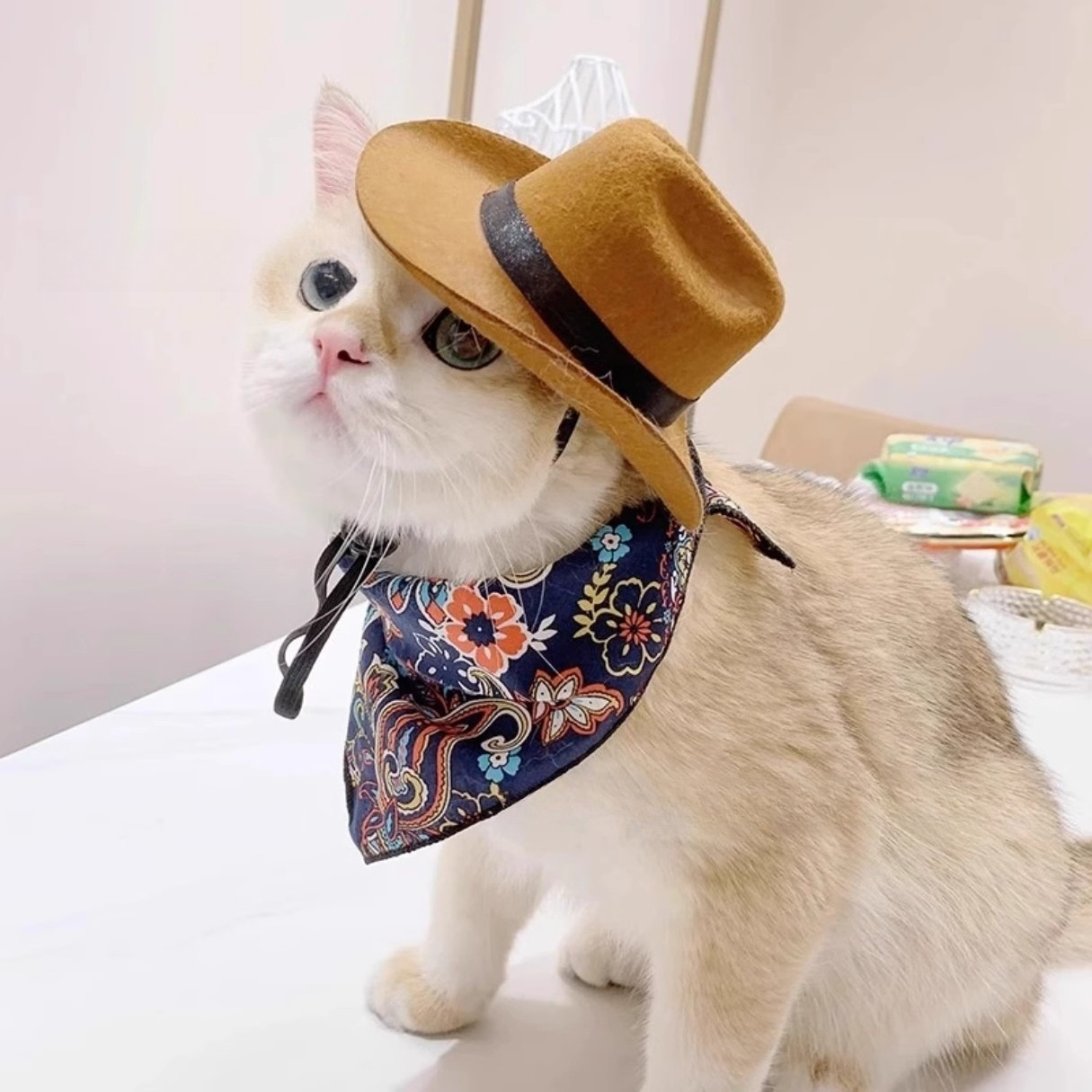  Cat Cowboy Hat Pet Head Acce - огляд і ціна Cowboy Hat Straw