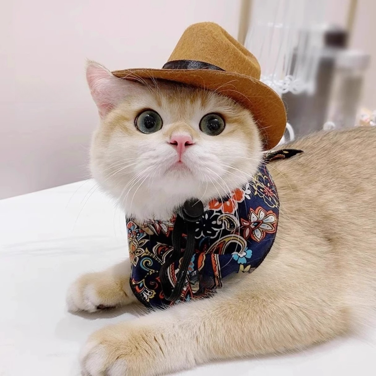  Cat Cowboy Hat Pet Head Acce - огляд і ціна Cowboy Hat Straw